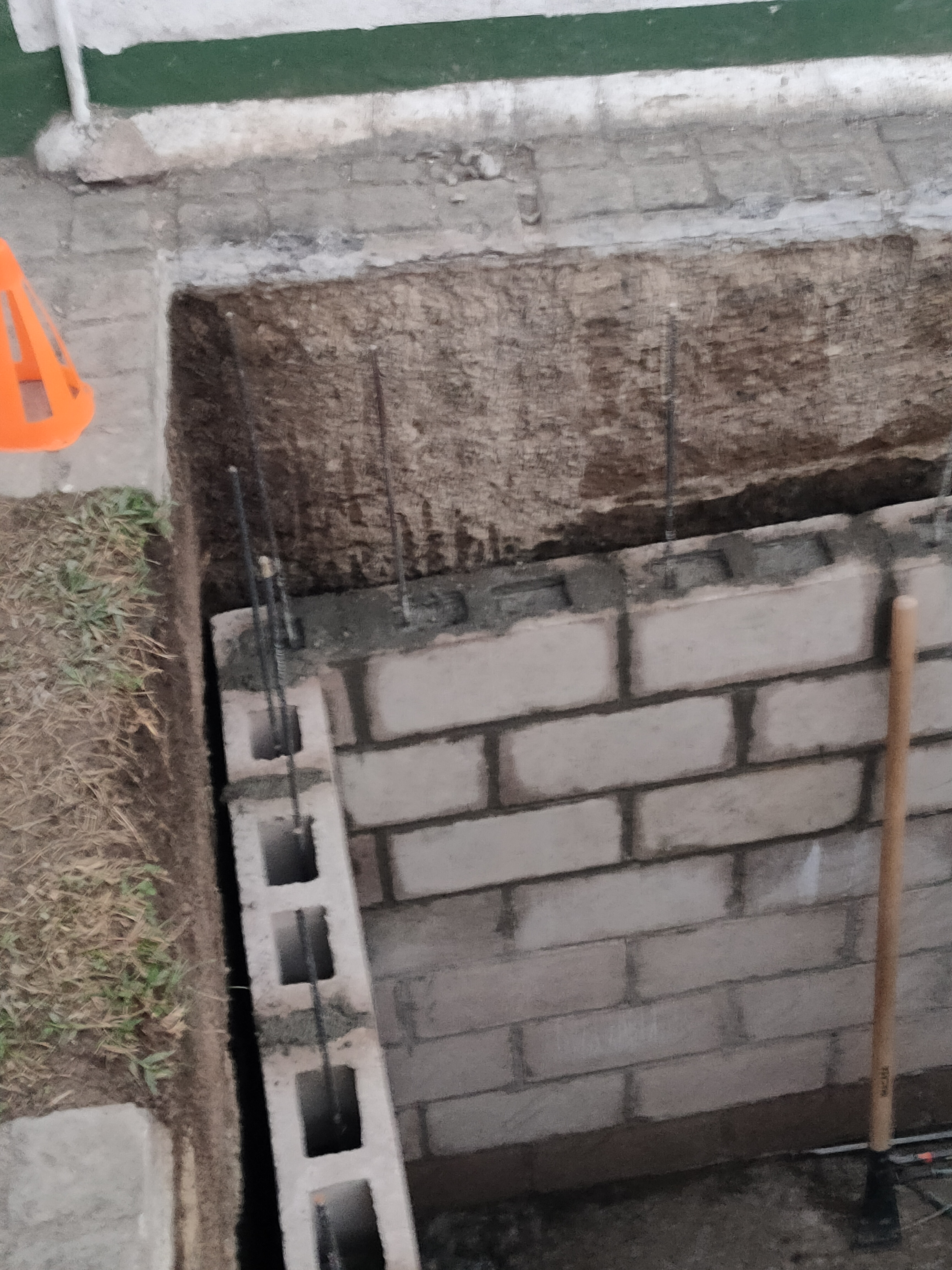 Imagen 2